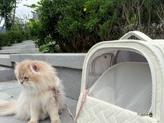 -上海无线电博物馆