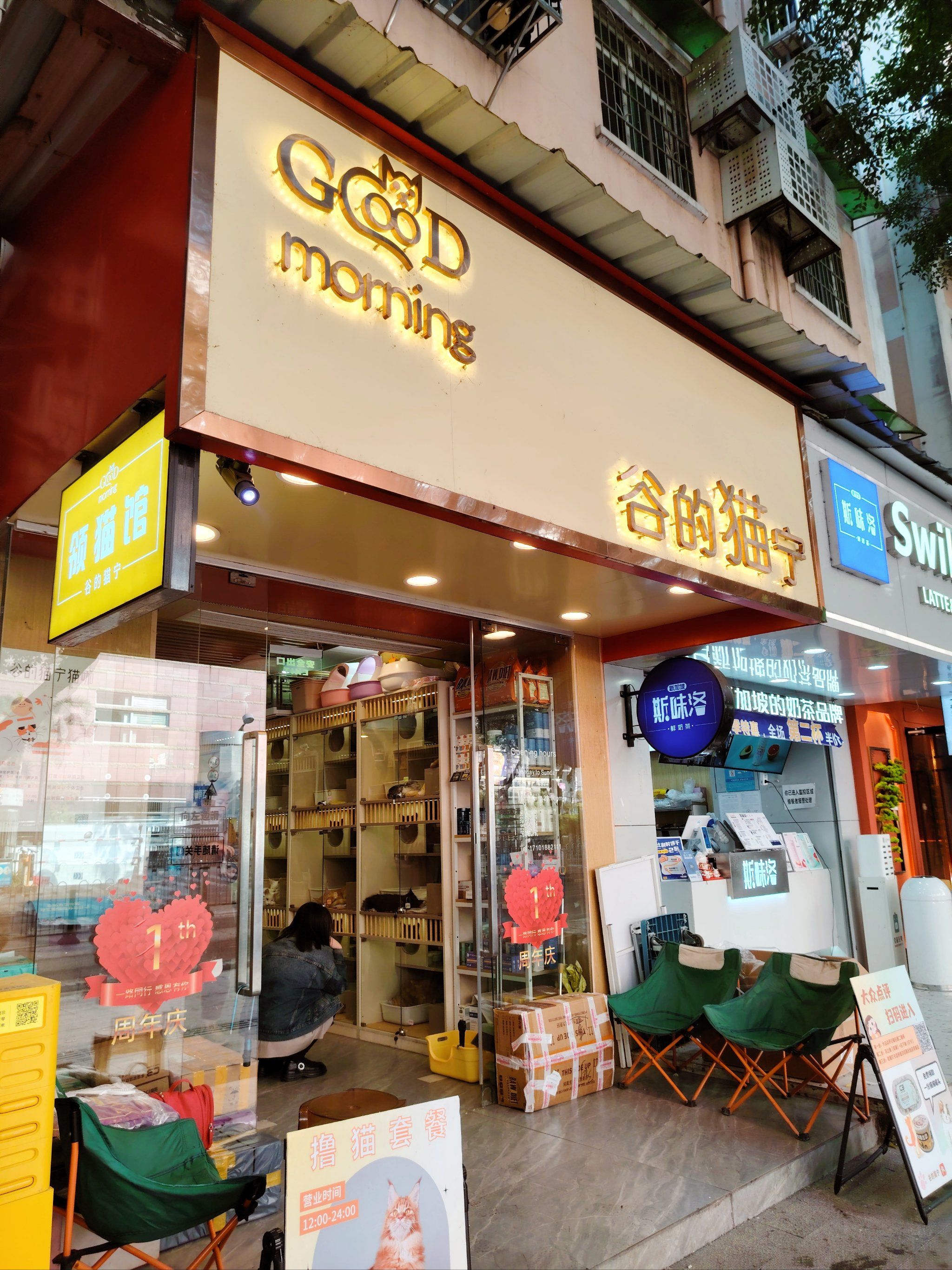 谷的猫宁,满载温馨回忆与喵趣横生的快乐