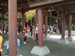 -金盆阿嬷香菇茶叶蛋(玄光店)