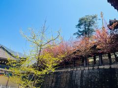 -冕宁灵山寺
