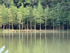 -广州白江湖森林公园