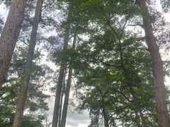-生态园山庄(森林公园店)