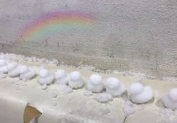 -Mr·Kuma酷么先生雪之乐园