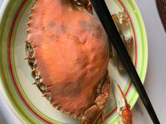 -开海·红岛海鲜虾水饺(石老人店)