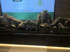 -三谷里·生态水疗空间(五一店)