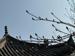 -大学习巷清真寺