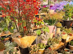 -双季花艺园艺市场(浦东店)