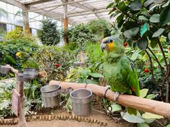 -南宫五洲植物乐园