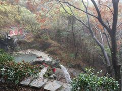 -宁波市保国寺古建筑博物馆