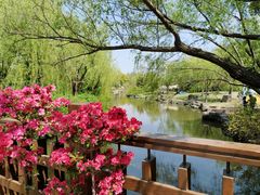 -上海滨江森林公园