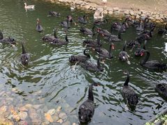 -长白岛森林公园