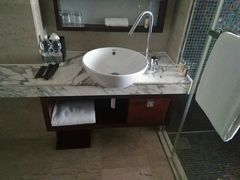 -上海龙之梦万丽酒店