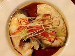 -田螺阿姨自营月嫂·育儿嫂(高新店)
