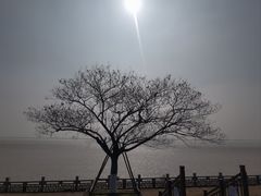 -观潮胜地公园
