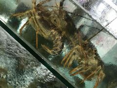 -常家活海鲜小吃(仅一家无分店)