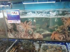 水产区-南海渔家•海鲜•正宗海南菜(海棠湾店)