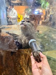 -Zoolung Zoolung动物主题公园(海信广场店)