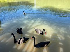 -广州白江湖森林公园