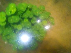 -黔蘑菇四季餐厅(观山湖店)