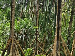 -中国科学院西双版纳热带植物园