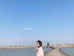 -盐城丹顶鹤湿地生态旅游区