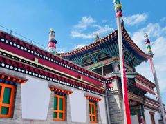 -塔尔寺菩提树