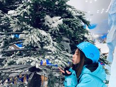 -长沙湘江冰雪世界