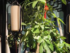 -红蜡烛-养生粥-津鲁菜(中山路店)