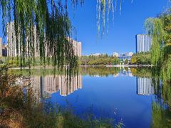 -青城公园