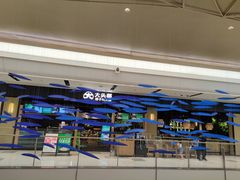 -大头椰·椰子鸡火锅(桂林万象城店)