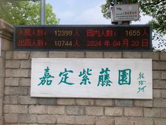 -嘉定紫藤园