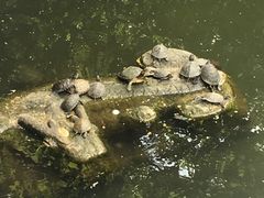 -三大炮豆花铺(锦里店)