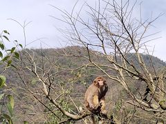 -黔灵山公园
