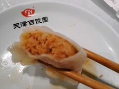 -百饺园(平山道店)