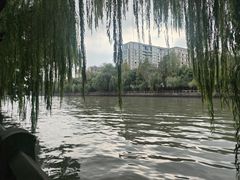 -运河游船(武林门码头)