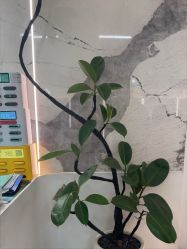 -LJOY丽锦造型·烫发染发