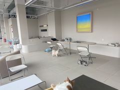 -怪兽屋·羊驼·猫咖·狗咖(俊华广场店)