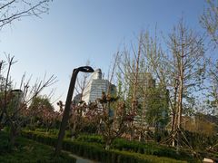 -京梟红茶楼(方恒购物中心店)