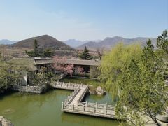 -樱花山风景区