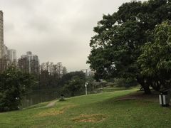 -四海公园(南山区)