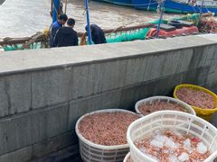 -东河市场