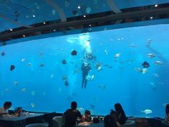 -瑞德姆美人鱼海底演艺主题餐厅(亚龙湾店)