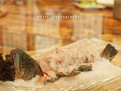 石斑鱼-棠宴酒店(汉口学院店)