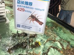 -盒马渔市餐厅