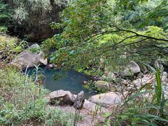 -广州市石门国家森林公园