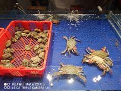 水产区-原乡故事里海鲜大餐(玉祥门北马道巷店)