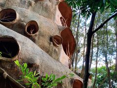 -天门沟九州驿站树上汤泉