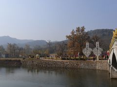 -千年银杏谷文化旅游区