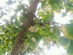 -白塘生态植物园