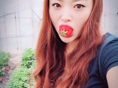 -小鱼草莓采摘园农家乐·小鱼餐厅